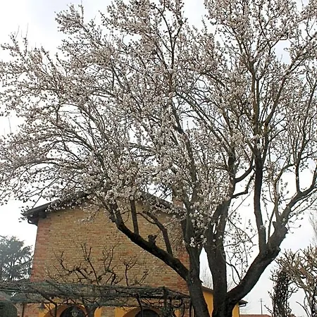 La Trunera 4*