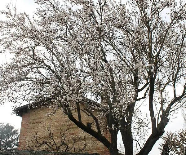 Bed and breakfast La Trunera